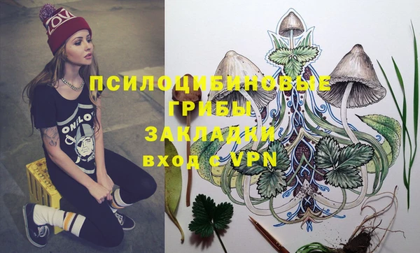 синтетический гашиш Алексин