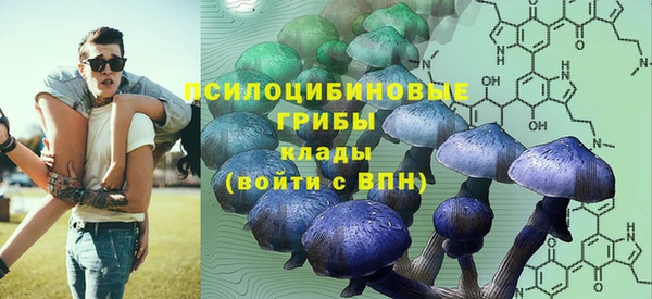 синтетический гашиш Алексин