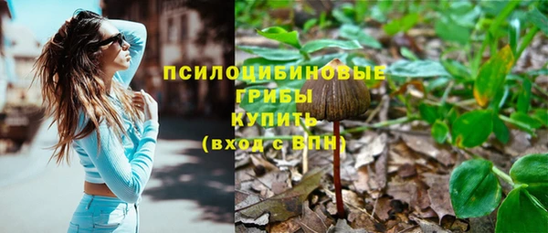 apvp Абинск