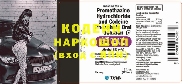 крисы Абаза