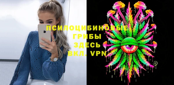 крисы Абаза