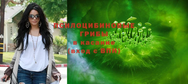крисы Абаза